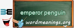 WordMeaning blackboard for emperor penguin